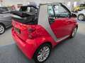 smart forTwo smart fortwo cabrio 62 Kw passion Autom.Navi,Media Rot - thumbnail 16