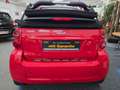 smart forTwo smart fortwo cabrio 62 Kw passion Autom.Navi,Media Rot - thumbnail 14