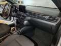 Ford Focus 1.0 EcoBoost 125cv 5p ST-Line + Navi + Led Silber - thumbnail 18