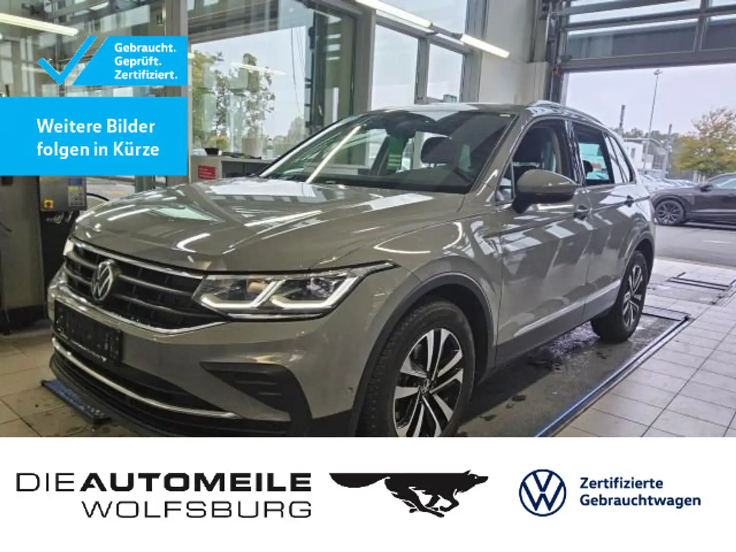 Volkswagen Tiguan 1.5 TSI DSG United AHK/Matrix/App-Connect Grau - 1