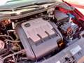 SEAT Ibiza ST 1.2TDICR Reference E Ecomotive Rojo - thumbnail 19