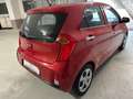 Kia Picanto Picanto II 1.0 Glam 66cv 5p E6 Rosso - thumbnail 5