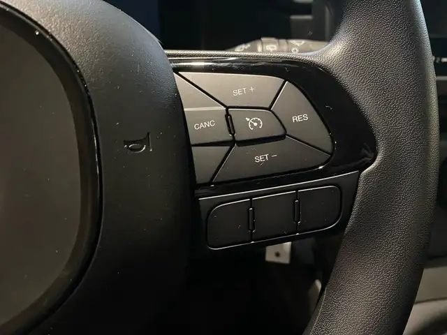 Fiat Panda view 14