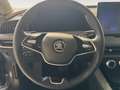 Skoda Superb FAMILIAR 2.0 TDI 110KW DSG SELECTION COMBI 150 5P Gris - thumbnail 9