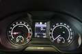 Skoda Octavia Combi RS Navi Bi-Xenon ACC Noir - thumbnail 18