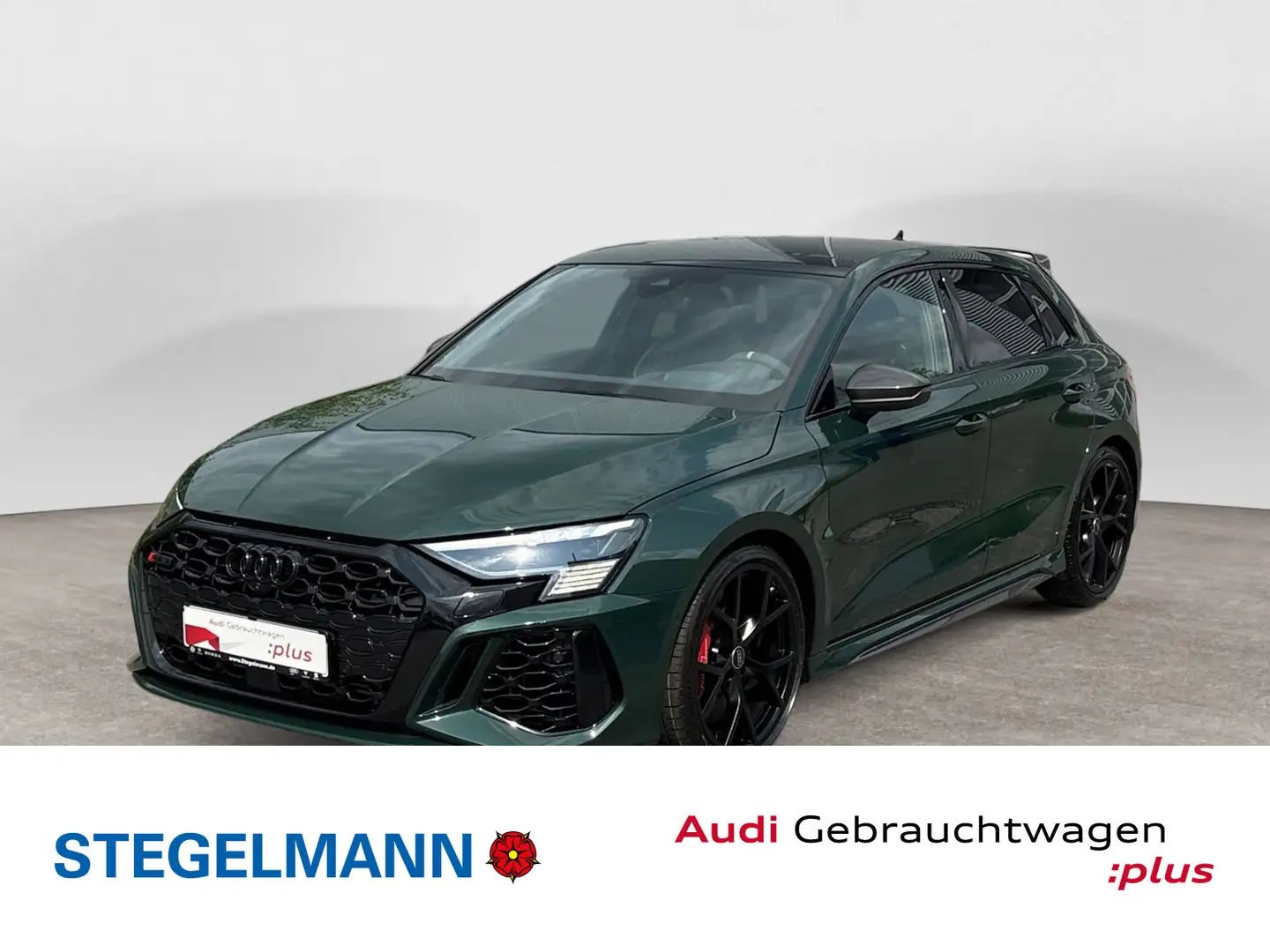 Audi RS3 Individual *Sportabgas*Keramik*He Grün - 1