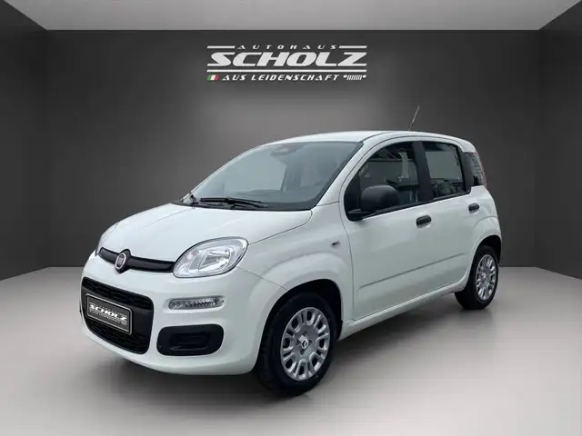 Fiat Pandina MY26 Pandina POP Hybrid 1.0 GSE 48kw 65PS