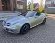 Mercedes-Benz SLK 200 SLK 200 Kompressor (171.442) Grau - thumbnail 19