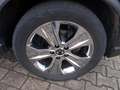 SsangYong Rexton Sapphire 4WD, Leder NAVI  Alu20" AHK Allwetter Blue - thumbnail 9
