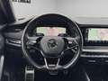 Skoda Octavia Combi 2,0 TDI 4x4 RS DSG AHK STANDHZ CAM LEDER ... Grau - thumbnail 8