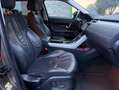Land Rover Range Rover Evoque 2.2 TD4 150CV DYNAMIC AWD **MOTORE ROTTO** Grigio - thumbnail 8