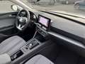 SEAT Leon SP 2.0 TDI DSG Style 138€ m. 20% Anzahlung Digit Weiß - thumbnail 12