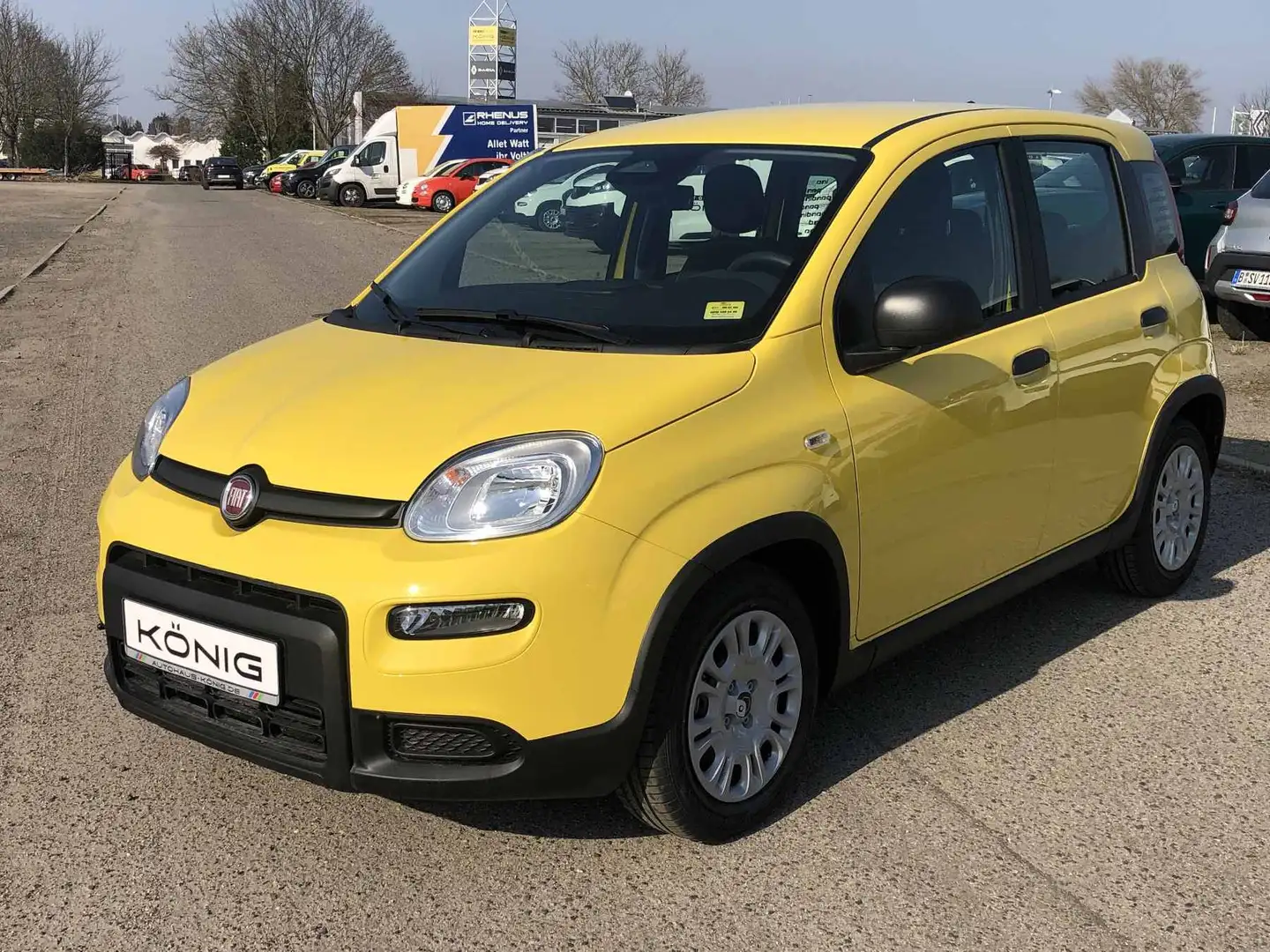 Fiat Panda MY24 1.0 Klima PDC Citypaket Geel - 1