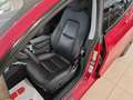 Tesla Model 3 Long Range DualMotor AWD Tetto Pelle AUTOPILOT 18” Rojo - thumbnail 3