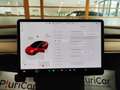 Tesla Model 3 Long Range DualMotor AWD Tetto Pelle AUTOPILOT 18” Rojo - thumbnail 33