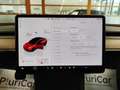 Tesla Model 3 Long Range DualMotor AWD Tetto Pelle AUTOPILOT 18” Rojo - thumbnail 31