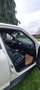 Nissan Juke Diesel 1,5 dCi 2WD Tekna GPS Clim int. cuir noir Blanc - thumbnail 5