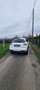 Nissan Juke Diesel 1,5 dCi 2WD Tekna GPS Clim int. cuir noir Blanc - thumbnail 8