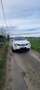 Nissan Juke Diesel 1,5 dCi 2WD Tekna GPS Clim int. cuir noir Wit - thumbnail 7