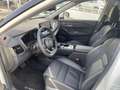 Nissan X-Trail 1.5 MHEV Tekna SHZ vor./hi. 360° Kamera Weiß - thumbnail 8