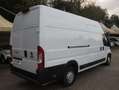 Fiat Ducato L4H3.EXTRALUNGO  SUPERALTO Bianco - thumbnail 6