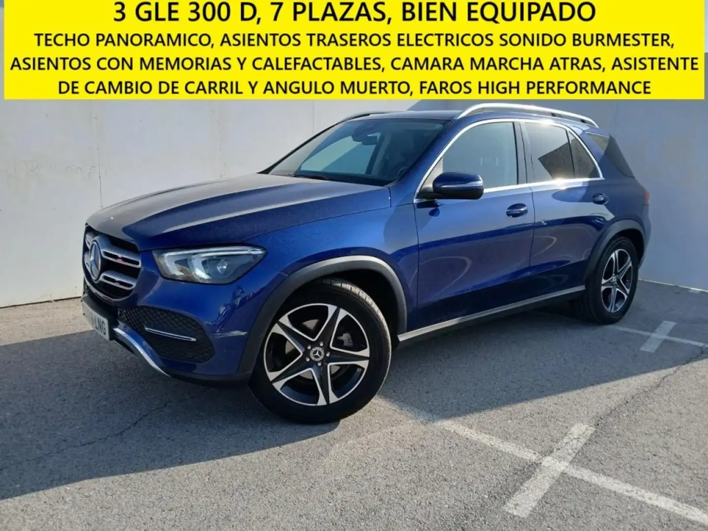 Mercedes-Benz GLE 300 300d 4Matic Aut. Azul - 1