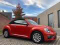 Volkswagen Beetle 1.2 TSI Design Cabrio - 2017 - Collector's item ! Rood - thumbnail 3