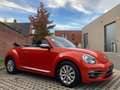 Volkswagen Beetle 1.2 TSI Design Cabrio - 2017 - Collector's item ! Rood - thumbnail 7