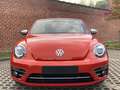 Volkswagen Beetle 1.2 TSI Design Cabrio - 2017 - Collector's item ! Rood - thumbnail 5