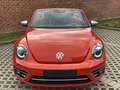 Volkswagen Beetle 1.2 TSI Design Cabrio - 2017 - Collector's item ! Rood - thumbnail 1