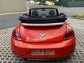 Volkswagen Beetle 1.2 TSI Design Cabrio - 2017 - Collector's item ! Rood - thumbnail 6
