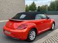 Volkswagen Beetle 1.2 TSI Design Cabrio - 2017 - Collector's item ! Rood - thumbnail 24