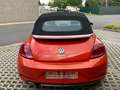 Volkswagen Beetle 1.2 TSI Design Cabrio - 2017 - Collector's item ! Rood - thumbnail 4