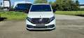 Mercedes-Benz EQV 300 EQV L2 AIR MATIC_PANO DAK Wit - thumbnail 20