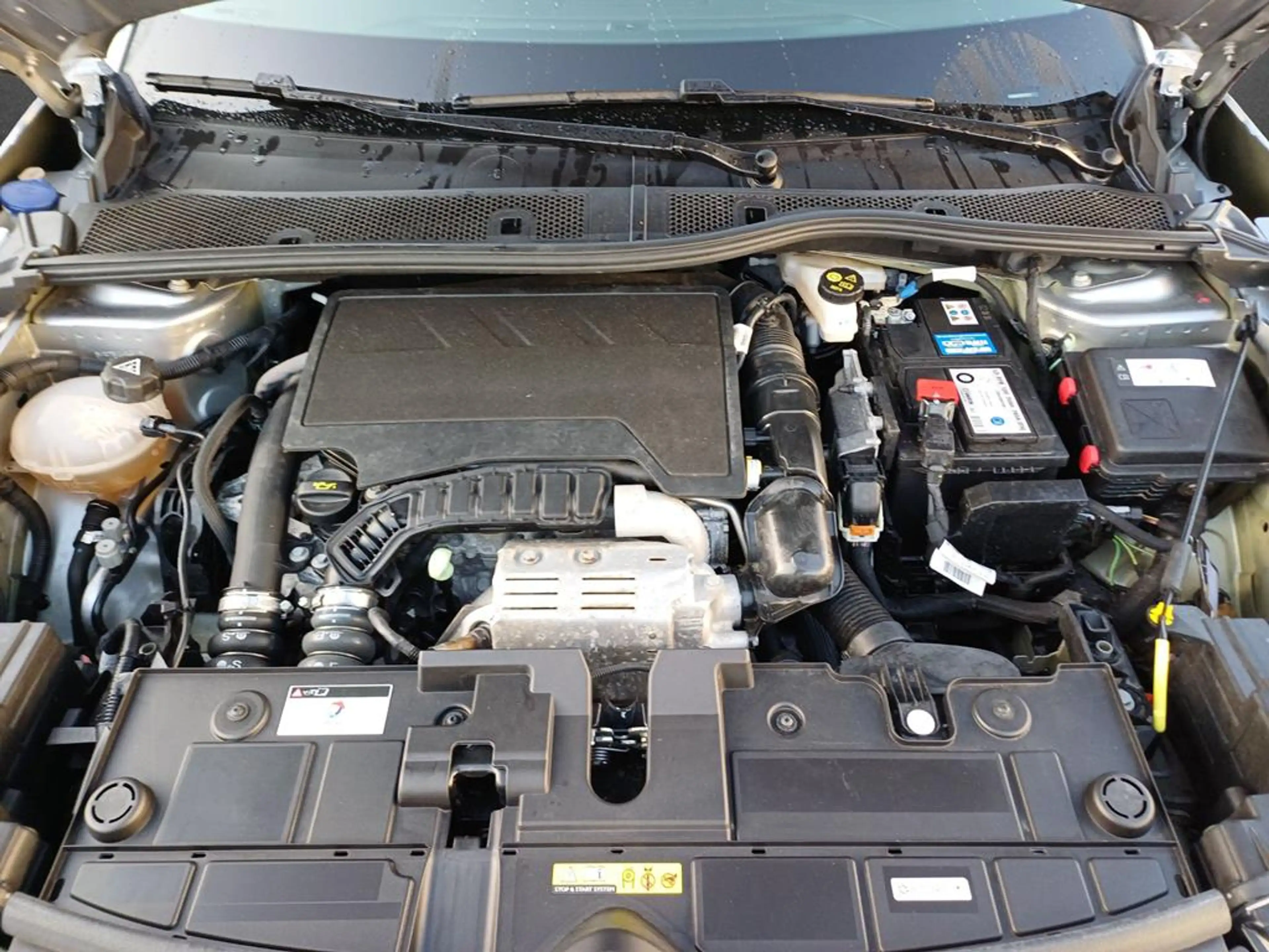 Citroen C4 Max — photo 5