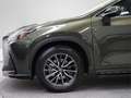 Lexus NX 350h Business 2WD - thumbnail 16