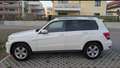Mercedes-Benz GLK 220 GLK 220 CDI BlueEfficiency Aut. Weiß - thumbnail 2