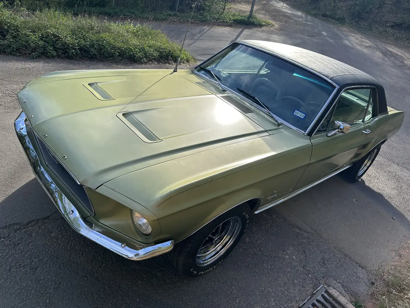 Ford Mustang V8 Automatik Survivor Coupé ungeschweisst Gold - 1