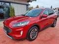 Ford Kuga Plug-In Hybrid Titanium X Rot - thumbnail 14