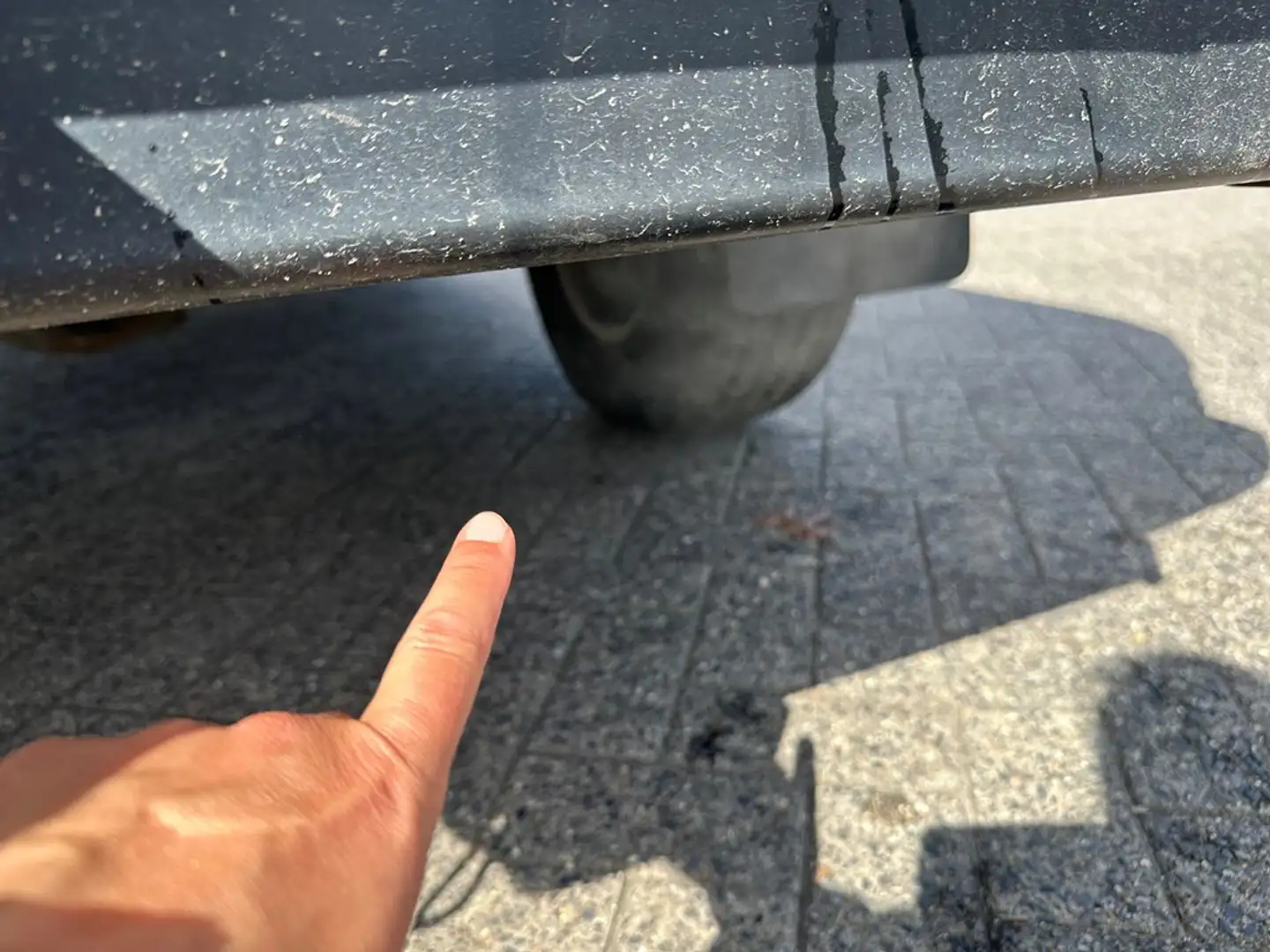 Ford Ranger 4X4 Limited - professionele verkoop Argent - 2