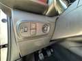 Citroen C3 PureTech 82 Shine Bianco - thumbnail 13