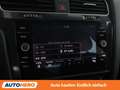 Volkswagen Golf 1.6 TDI Trendline BlueMotion Grau - thumbnail 21