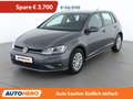 Volkswagen Golf 1.6 TDI Trendline BlueMotion Grau - thumbnail 1