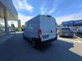 Citroen Jumper Furgone 35q 2.2 BHDi 140cv EAT8 L2H2 KM ZERO Alb - thumbnail 17