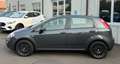 Fiat Punto NEOPATENTATI 5p 1.3 mjt 16v Street 75cv E5+ Gris - thumbnail 3