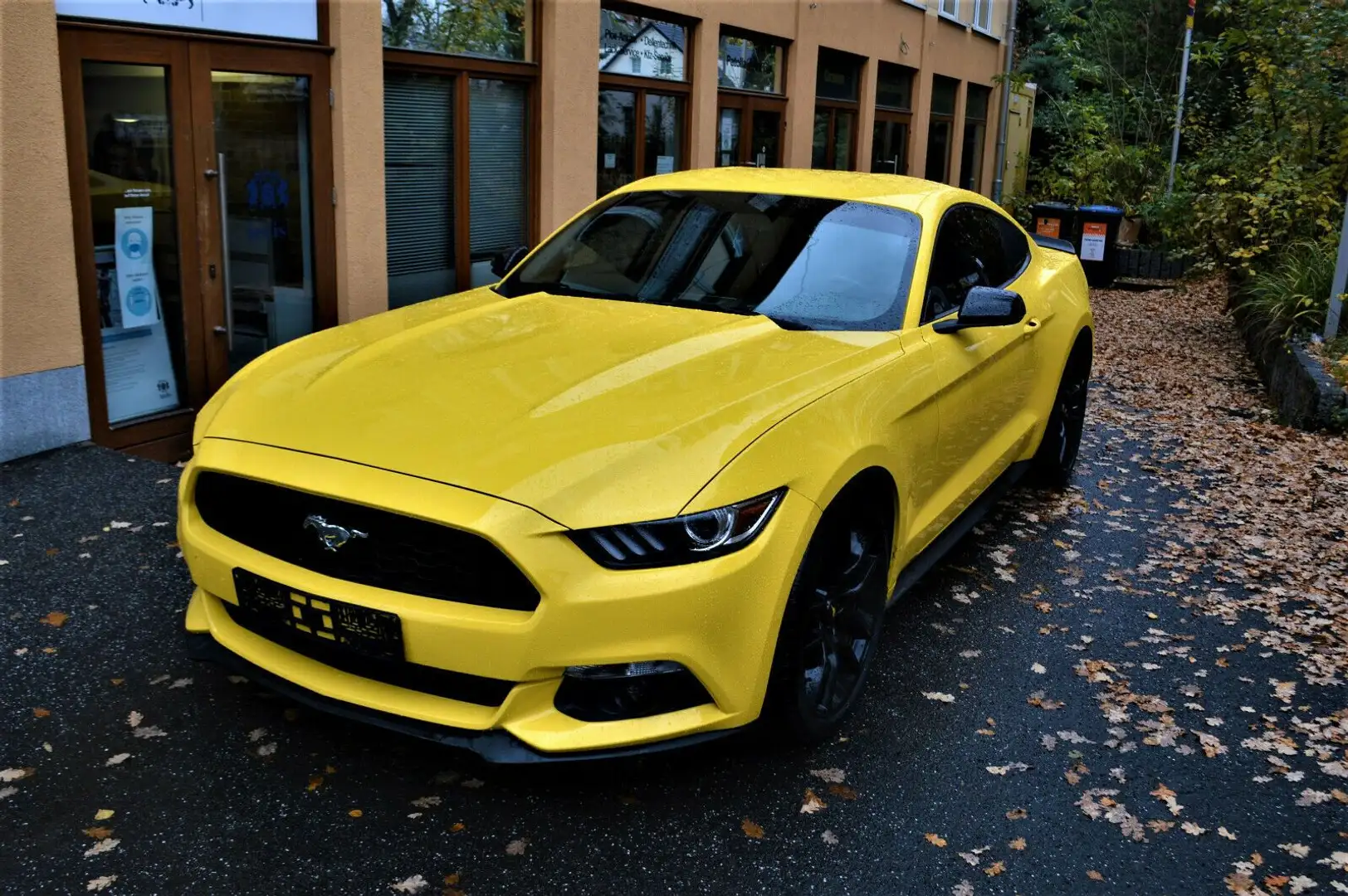 Ford Mustang 2.3 EcoBoost ,Leder Żółty - 1