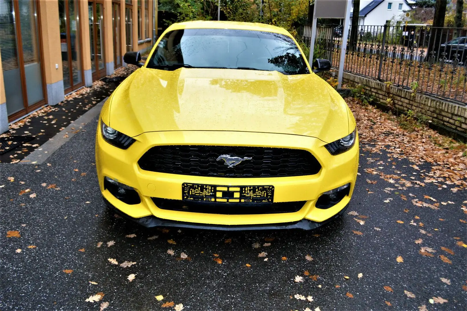 Ford Mustang 2.3 EcoBoost ,Leder Yellow - 2