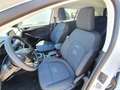 Ford Focus Active/Turnier/Mild-Hybrid/Fahrer-Assistenz-Paket Weiß - thumbnail 9
