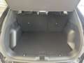 Ford Kuga Titanium FHEV Hybrid *Allrad*Automatik*LED* Negro - thumbnail 5