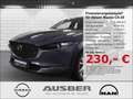Mazda CX-30 Selection 2WD 360° Bose Ganzjahresreifen Head-up-D Grau - thumbnail 1